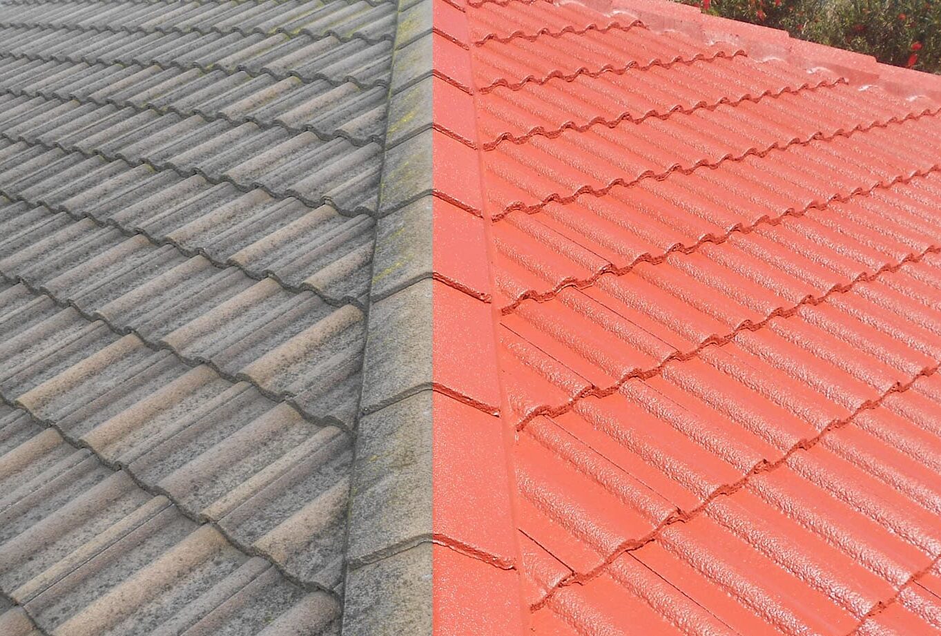 Can You Paint Roof Panels